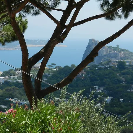 L'armonia Ischia